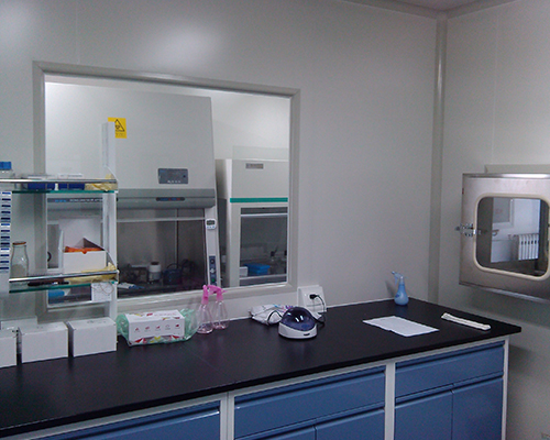 PCR实验室建设